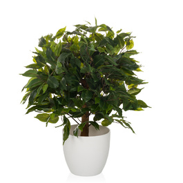 Штучна рослина / штучне дерево FICUS II 65 см зелений hjh ОФІС