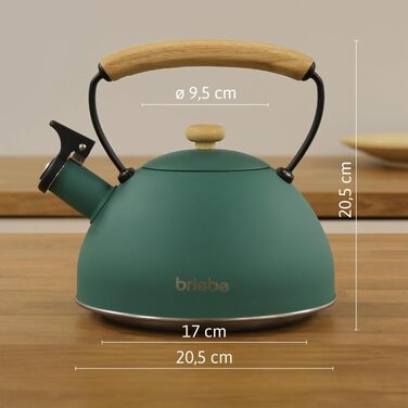 Тостер Briebe Nordic Set 2-слотовий з підставкою для булочок, 6 рівнів підсмажування + Електричний чайник індукційний 2.3л, нержавіюча сталь, без BPA, Набір для сніданку в скандинавському дизайні (Зелений)