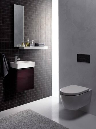 Унітазне сидіння Geberit iCon біле з мікроліфтом і металевим кріпленням