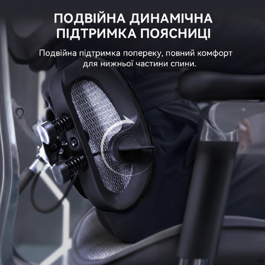 Ергономічне офісне крісло SIHOO Doro S300 black