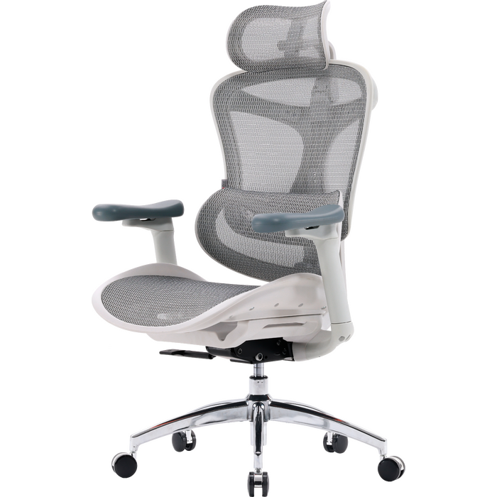 Крісло офісне Sihoo DORO C300L Mesh White
