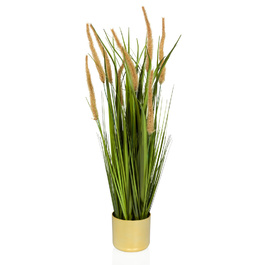 Штучна рослина CORTADERIA I Дика трава / Pampas Grass 78 см бежевий/зелений hjh ОФІС