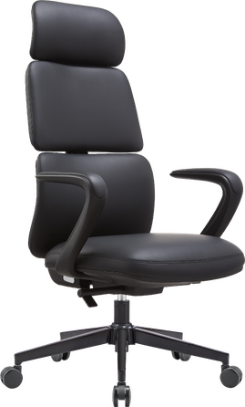 Крісло офісне OfficePro Delicate OC690BK Black PVC