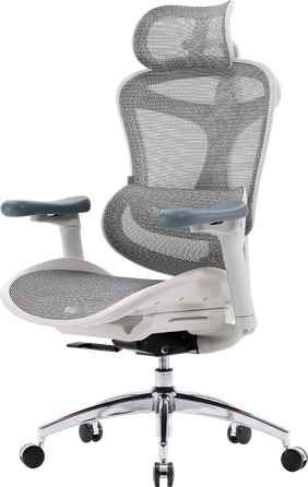 Крісло офісне Sihoo DORO C300L Mesh White