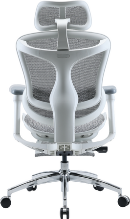 Крісло офісне з підставкою для ніг Sihoo DORO C300L Mesh White with footrest