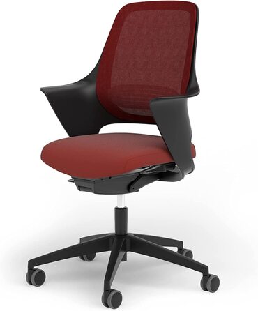Ergotopia WellBack: Ергономічне крісло для офісу та дому, Made in Germany, з підтримкою попереку та синхромеханікою, білий каркас, сірий колір
