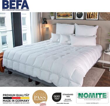 Літня пухова ковдра BEFA NATUR 155x220 см, 90% пуху, 10% пера, для алергіків, Німеччина, сертифікат Öko-Tex 100, Downpass, комплект 2 шт.