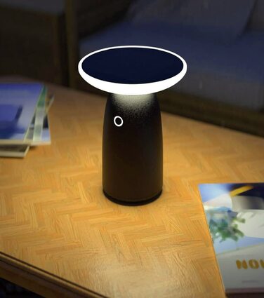 Сонячна настільна лампа ChiliTec з акумулятором, IP44, 22,5 см, диммована, USB-C, сенсор сутінків, тепле світло