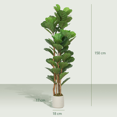 Штучна фіганова пальма (Ficus lyrata) у горщику, з 71 листям, масивний дерев'яний стовбур, 50 x 50 x 150 см, зелена