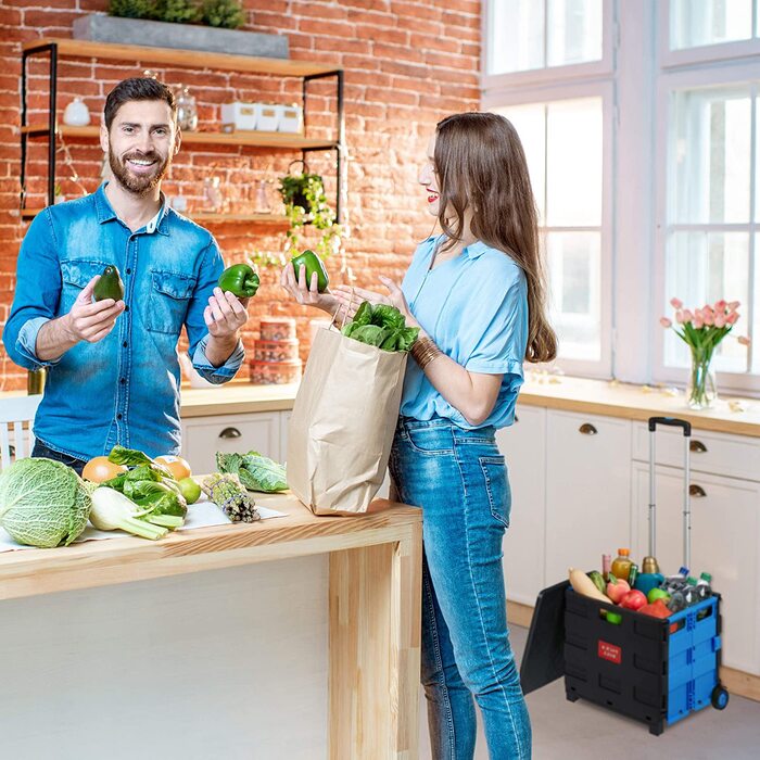 Складна господарська сумка-візок Relaxdays, до 35 кг, 50 л, з телескопічною ручкою та 2 колесами, синя/чорна