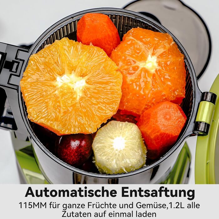 LINKChef Швидковичавник Slow Juicer: холодний віджим, для овочів та фруктів, легко миється, BPA Free, 200W (зелений)