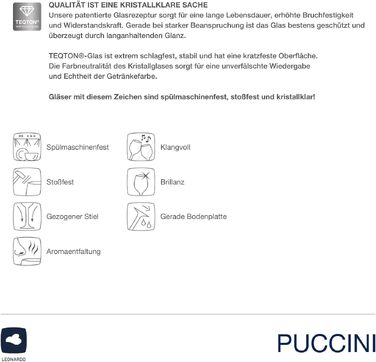 Набір келихів для білого вина LEONARDO HOME PUCCINI (6 шт), 560 мл, стійкі до подряпин, з серветкою для полірування