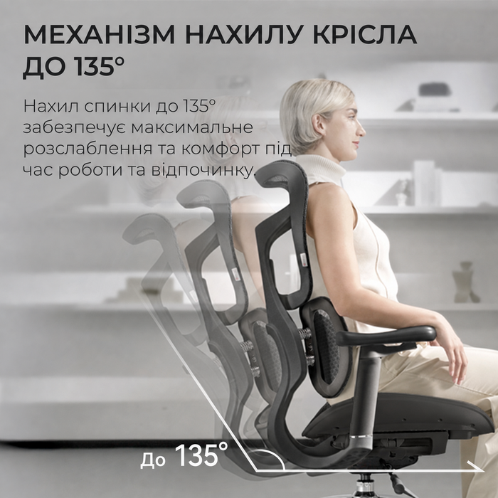 Крісло офісне Sihoo DORO S100 Mesh Black